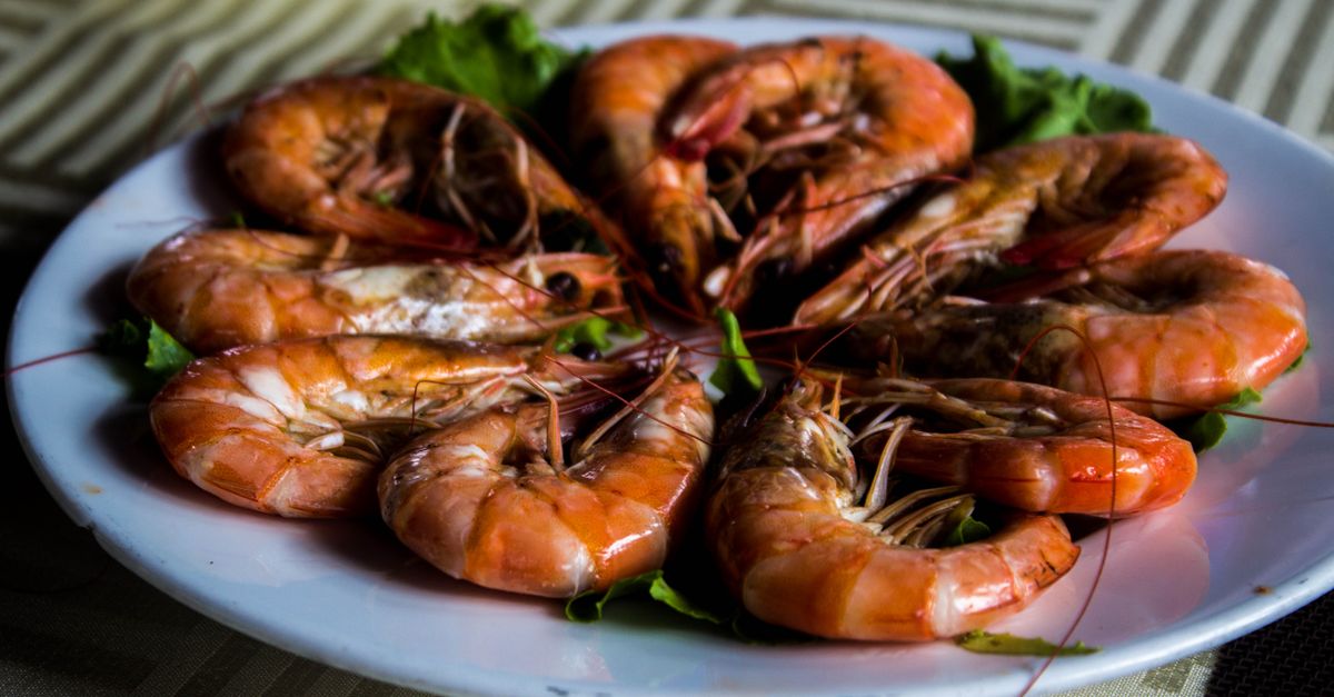 Fruits de mer frais food truck — crevettes et poissons